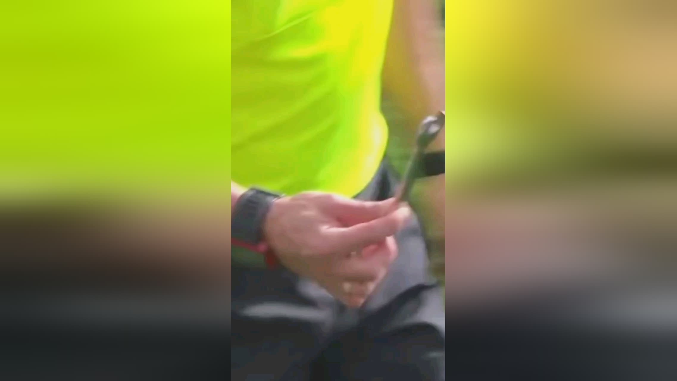 只是